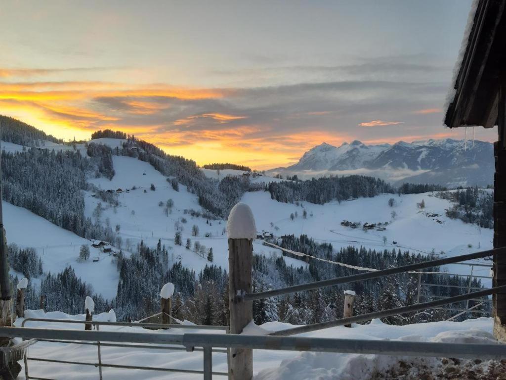 Chalet Leo Michaelerberg ภายนอก รูปภาพ