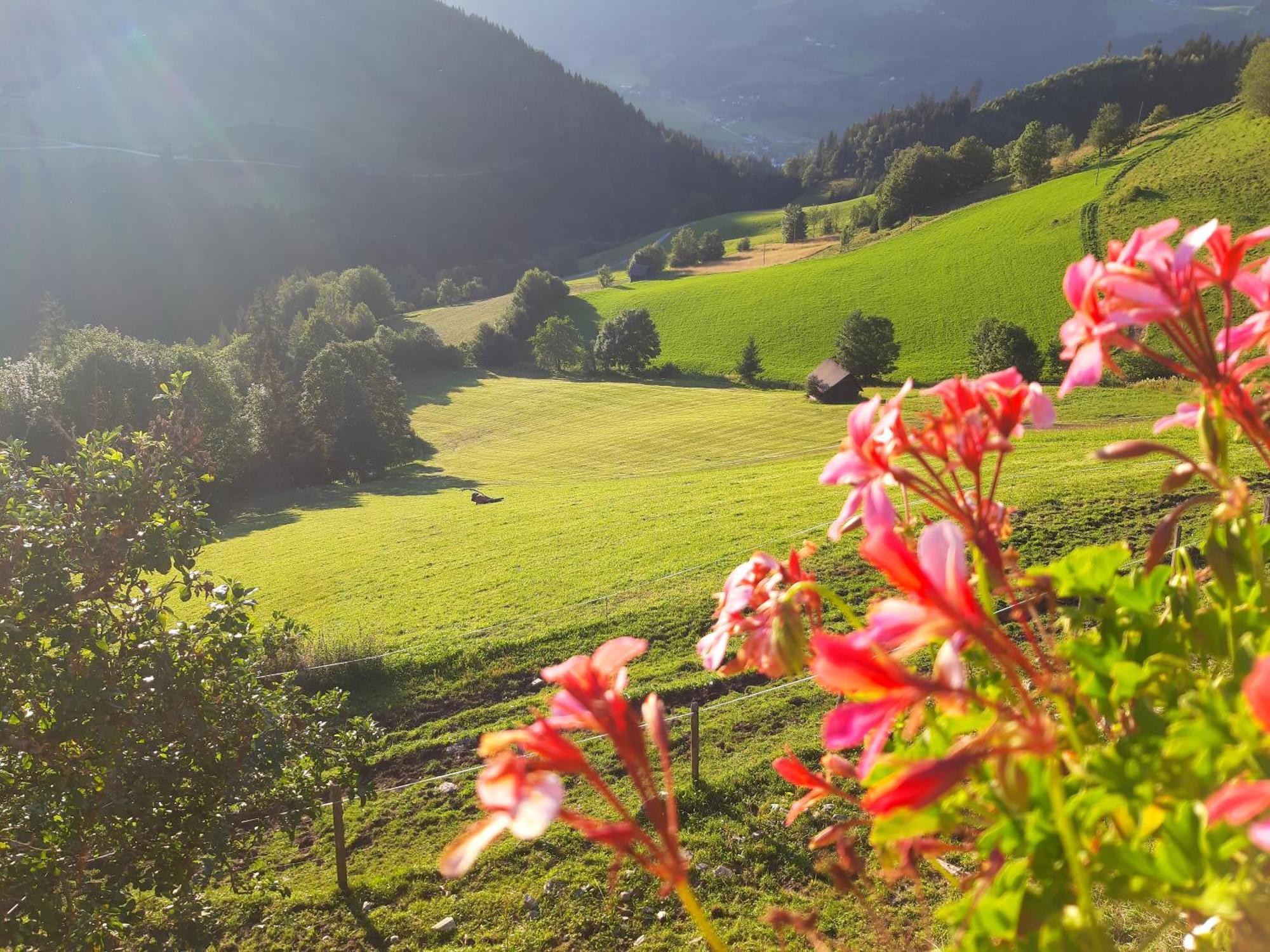 Chalet Leo Michaelerberg ภายนอก รูปภาพ